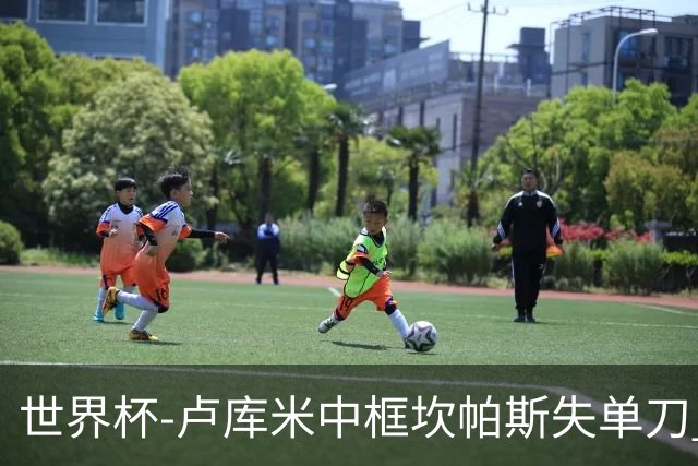 世界杯-卢库米中框坎帕斯失单刀 瑞士平哥伦比亚进点球
